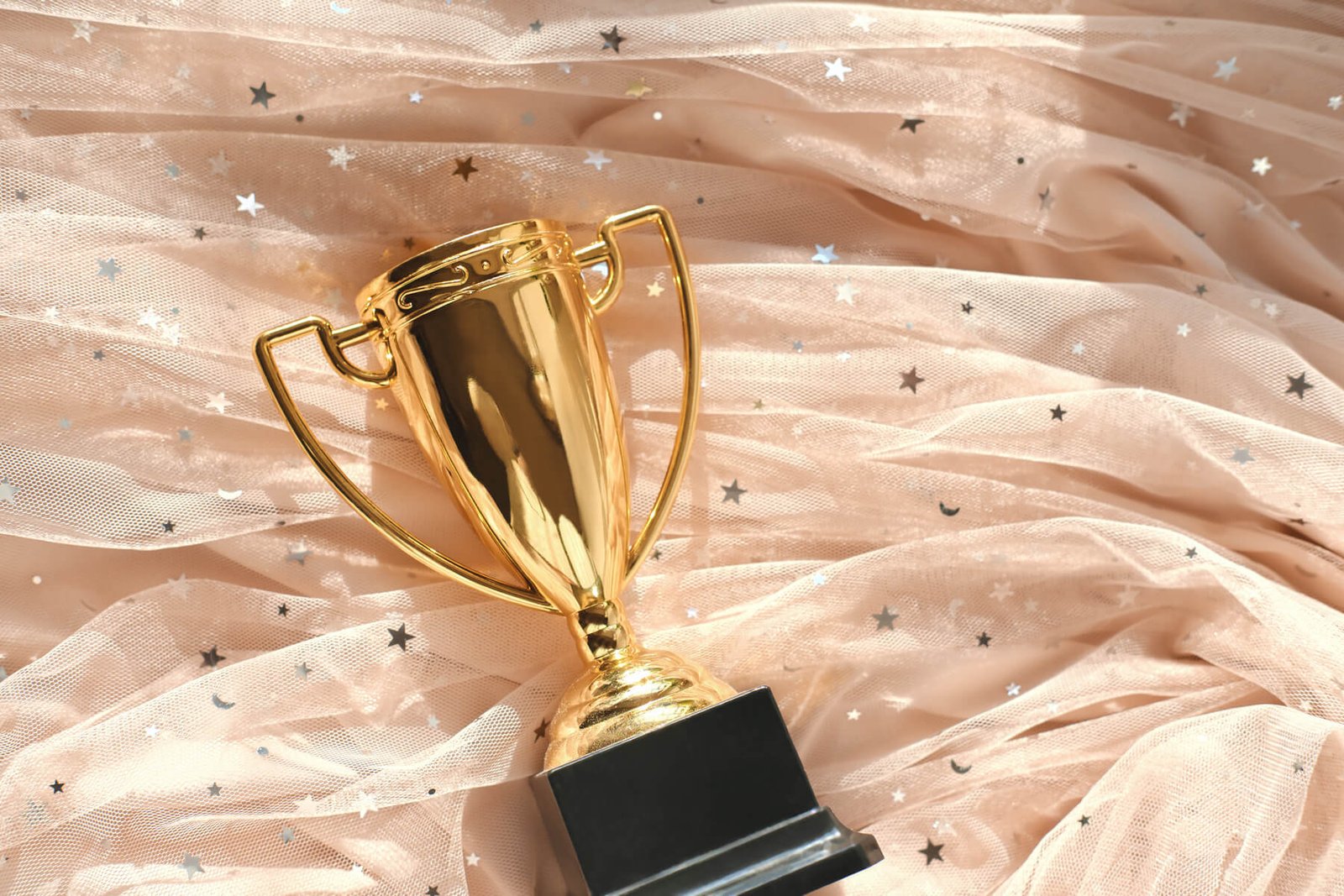 female winner first place tulle festive dress an 2026 01 07 00 19 30 utc.jpg